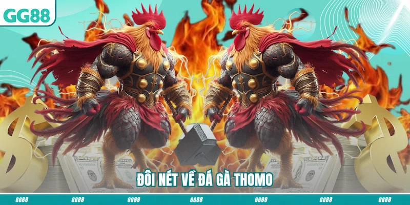 Đôi nét về Đá gà Thomo
