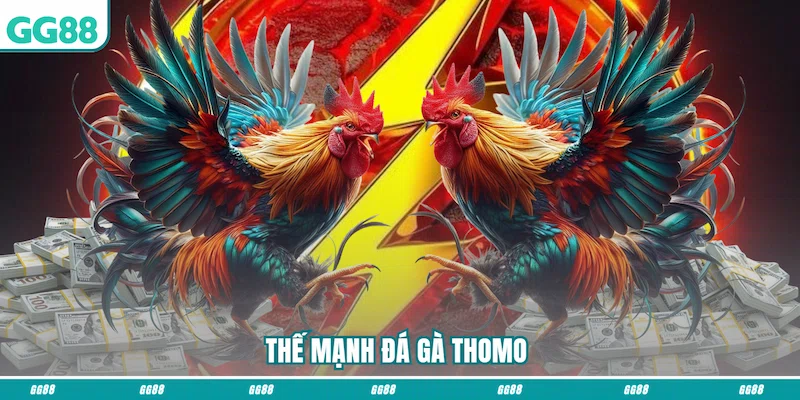 Thế mạnh Đá gà Thomo 