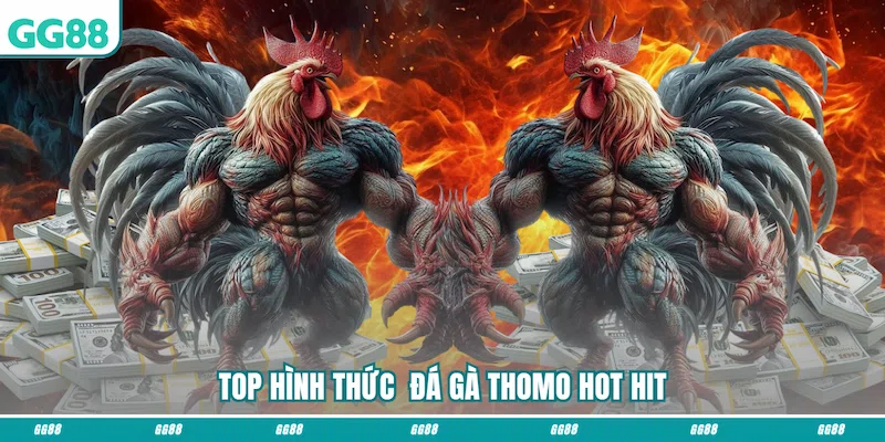 Top hình thức Đá gà Thomo hot hit