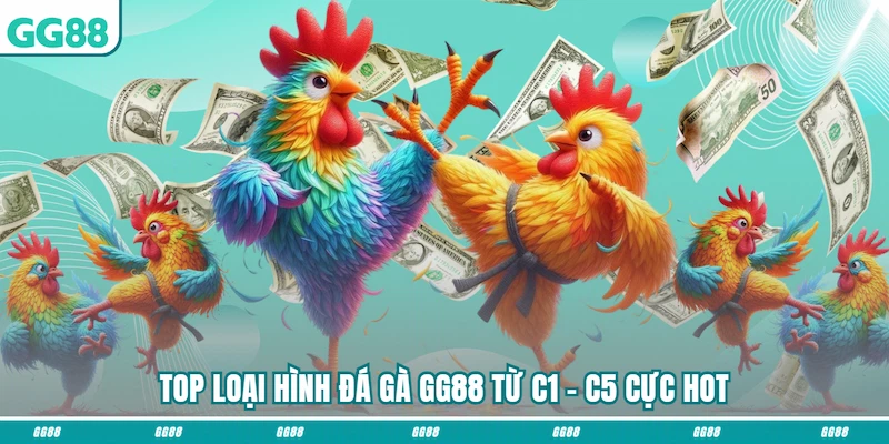 Top loại hình Đá gà GG88 từ C1 - C5 cực hot